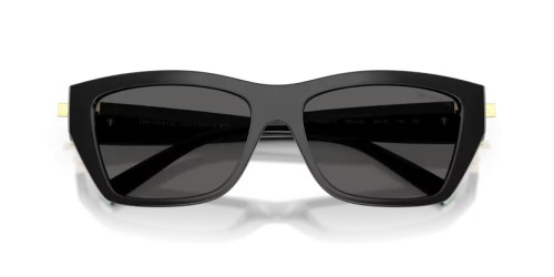 TIFFANY & CO. - Sunglasses - TF4255U - 8001S4 - 56
