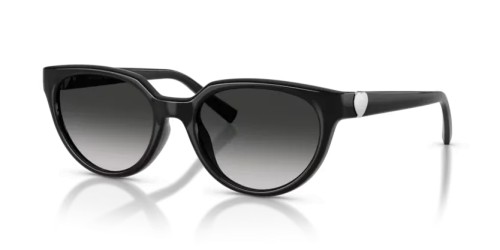 TIFFANY & CO. - Sunglasses - TF4256D - 80013C - 55
