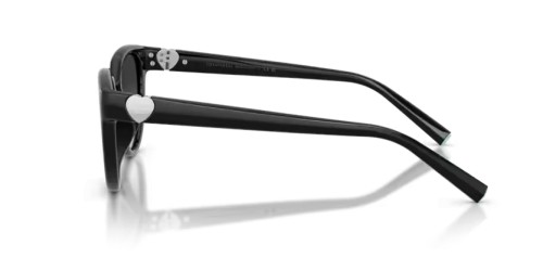 TIFFANY & CO. - Sunglasses - TF4256D - 80013C - 55