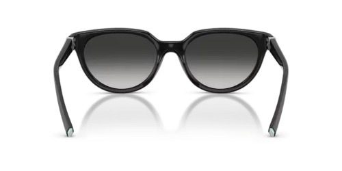 TIFFANY & CO. - Sunglasses - TF4256D - 80013C - 55