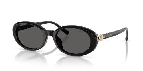 TIFFANY & CO. - Sunglasses - TF4242D - 8361S4 - 54