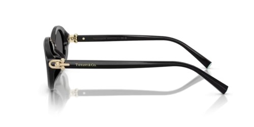 TIFFANY & CO. - Sunglasses - TF4242D - 8361S4 - 54