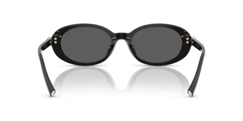 TIFFANY & CO. - Sunglasses - TF4242D - 8361S4 - 54