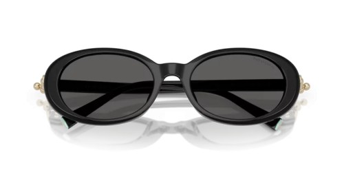 TIFFANY & CO. - Sunglasses - TF4242D - 8361S4 - 54