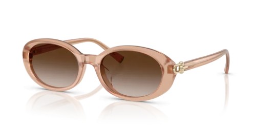 TIFFANY & CO. - Sunglasses - TF4242D - 82683B - 54