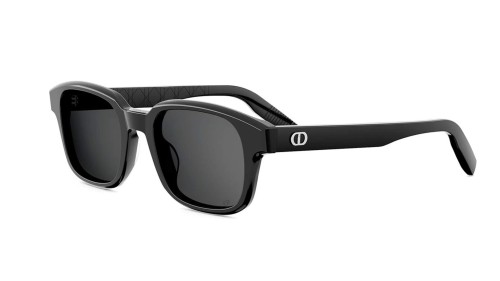 Dior - Sunglasses - CD ICON S4F - 10A0 - 53