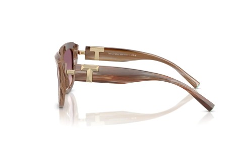 TIFFANY & CO. TF4238U - 84358D - 55 Sunglasses
