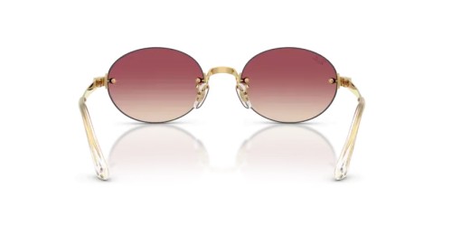 Ray-Ban RB3929 - 001/8H - 54 Sunglasses Oval