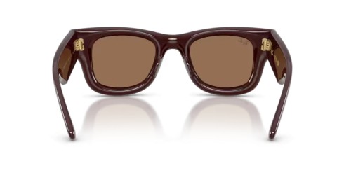 Ray-Ban RB4940 - 687773 - 50 Sunglasses Dark brown Square