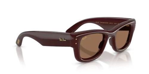 Ray-Ban RB4940 - 687773 - 50 Sunglasses Dark brown Square