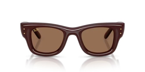Ray-Ban RB4940 - 687773 - 50 Sunglasses Dark brown Square