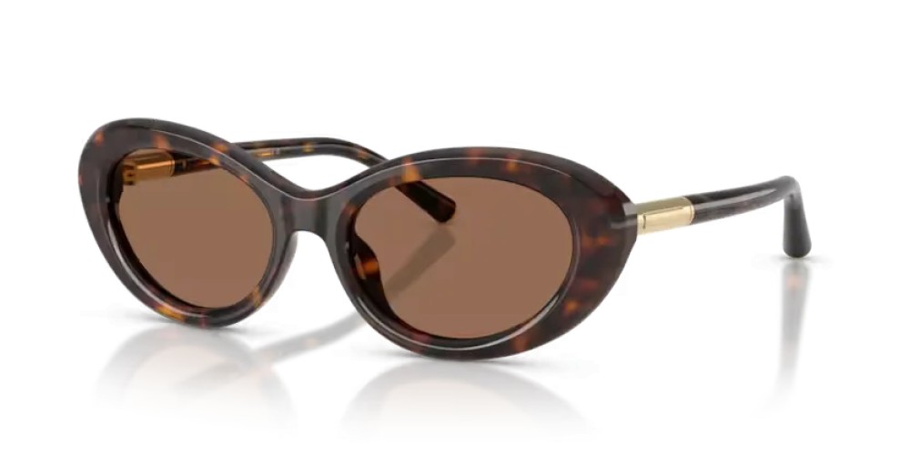 DOLCE & GABBANA DG4519 - 502/73 - 54 Sunglasses Havanna Oval