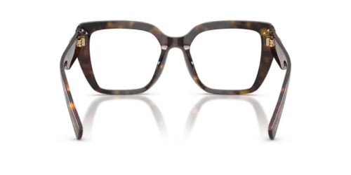 DOLCE & GABBANA DG3441 - 502 - 53 Optical frames Havanna Square