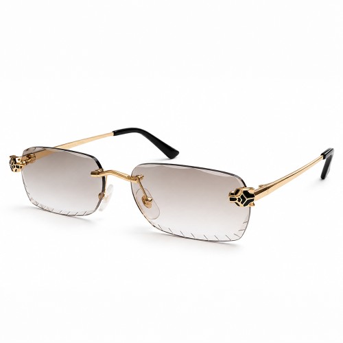 CT0448O with Diamond-Cut Lenses – Custom-Made - 001 - 54 - WITH PHOTOCROMIC LENS