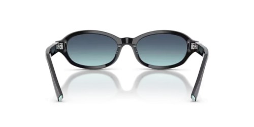 TIFFANY & CO. TF4270U - 80019S - 52 Sunglasses Black Oval