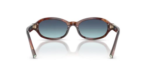 TIFFANY & CO. TF4270U - 84219S - 52 Sunglasses Oval