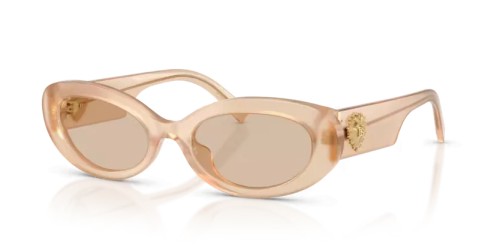 DOLCE & GABBANA - Sunglasses - DG4537 - 308993 - 53