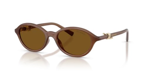 TIFFANY & CO. TF4266U - 847183 - 51 - WITH POLARIZED LENSES Sunglasses Oval