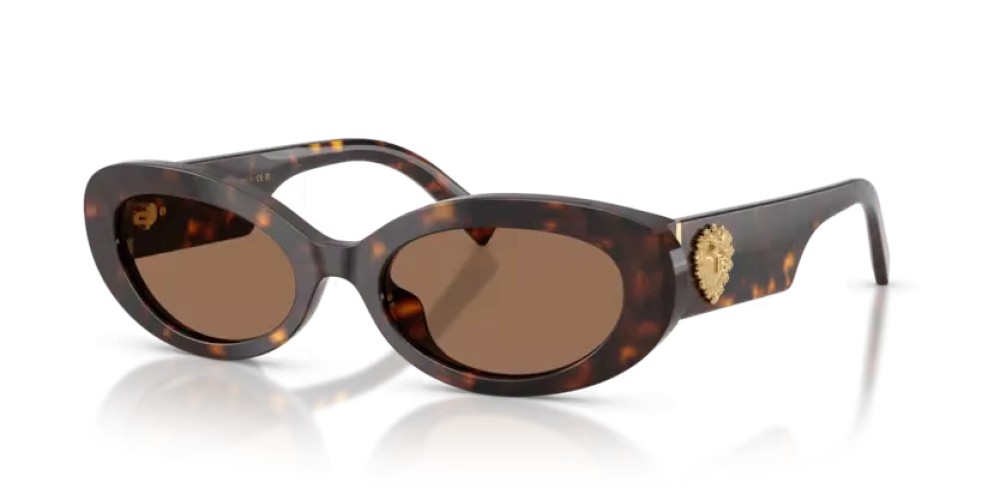 DOLCE & GABBANA DG4537 - 502/73 - 53 Sunglasses Havanna Oval