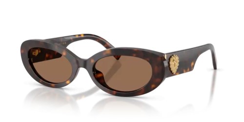 DOLCE & GABBANA DG4537 - 502/73 - 53 Sunglasses Havanna Oval