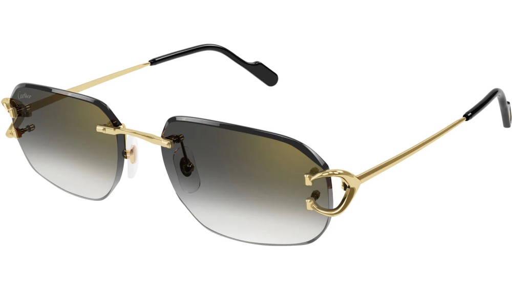 Cartier - Sunglasses - CT0468S - 001 - 58