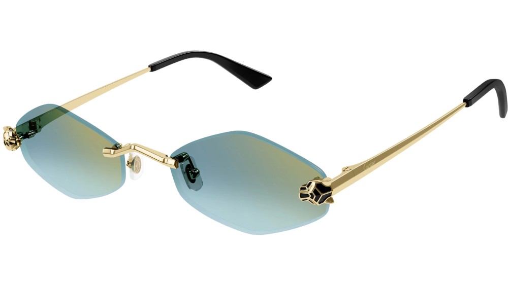 Cartier - Sunglasses - CT0433S - 003 - 55
