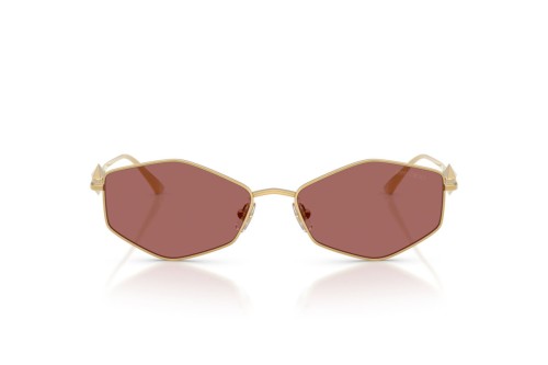 Jimmy Choo - Sunglasses - JC4017 - ​302369 - ​55