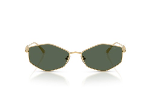 Jimmy Choo - Sunglasses - JC4017 - ​302371 - ​55