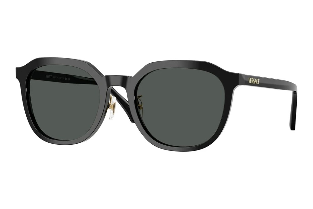 VERSACE - Sunglasses - VE4493-D - GB1/87 - 55