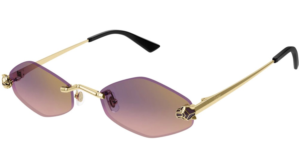 Cartier - Sunglasses - CT0433S - 004 - 55