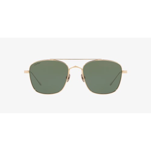Cartier - Sunglasses - CT0163S - 006 - 55
