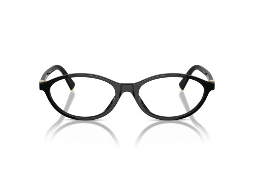 MIU MIU - Optical frames - MU 09XV - ​16K1O1 - ​53